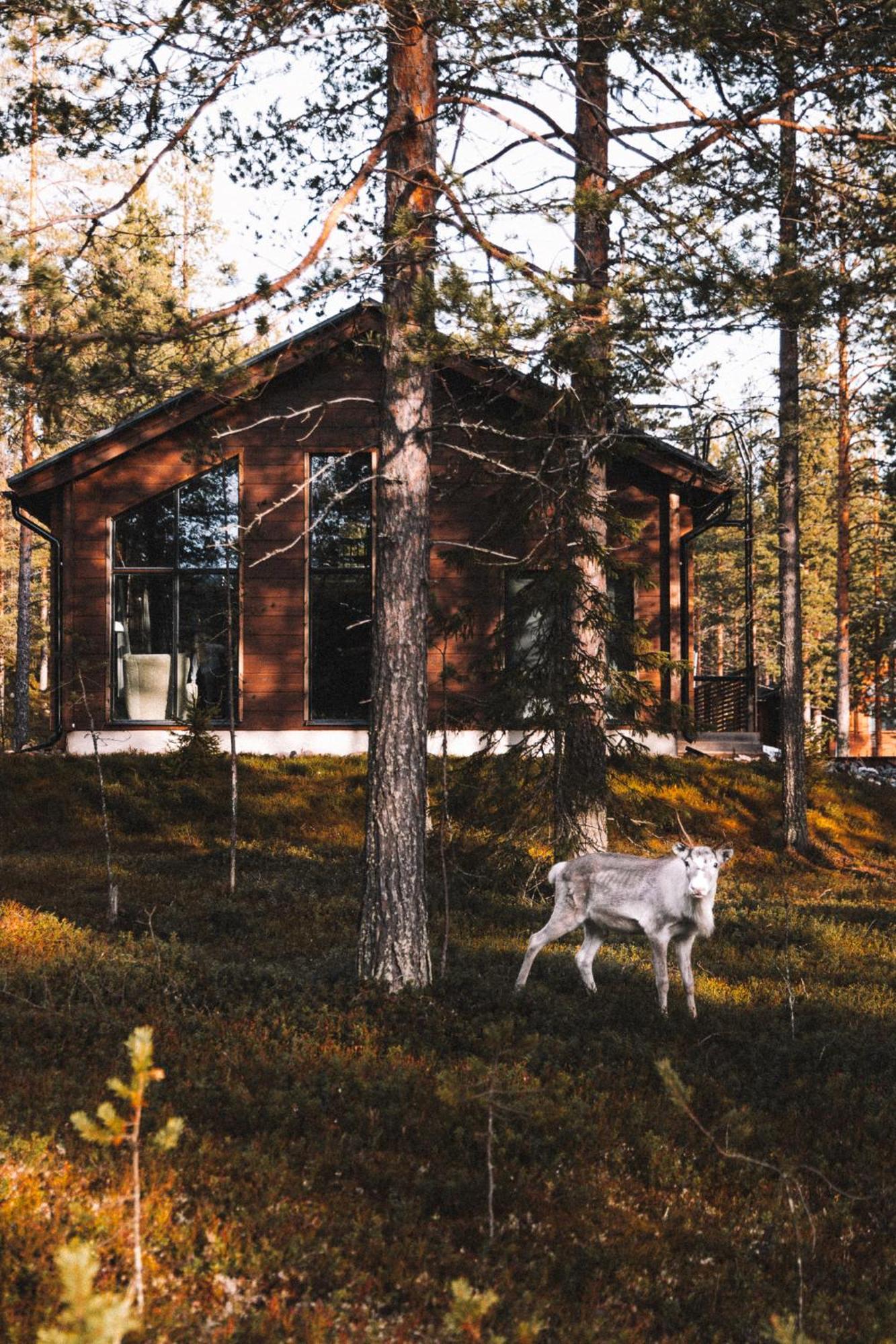 Villa Raanakka House - Premium At Levi